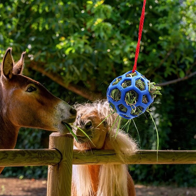 Horse Treat Ball Manufacturer - Hanging Feeding Ball for Horse Goat Sheep Stress Reliever