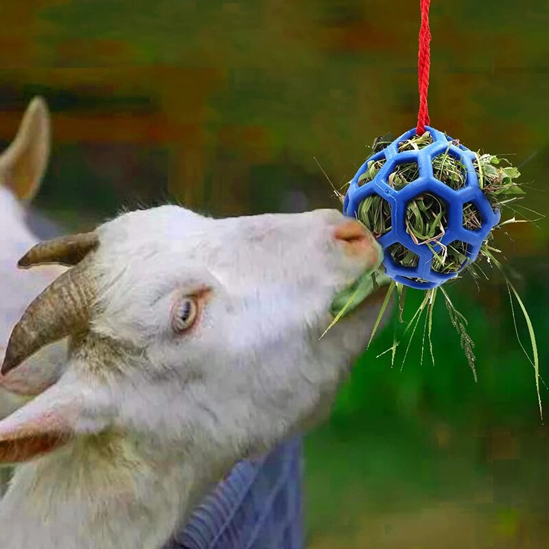 Horse Treat Ball Manufacturer - Hanging Feeding Ball for Horse Goat Sheep Stress Reliever