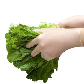 PVC Gloves Factory - Wholesale Food Grade Disposable for Household Washing