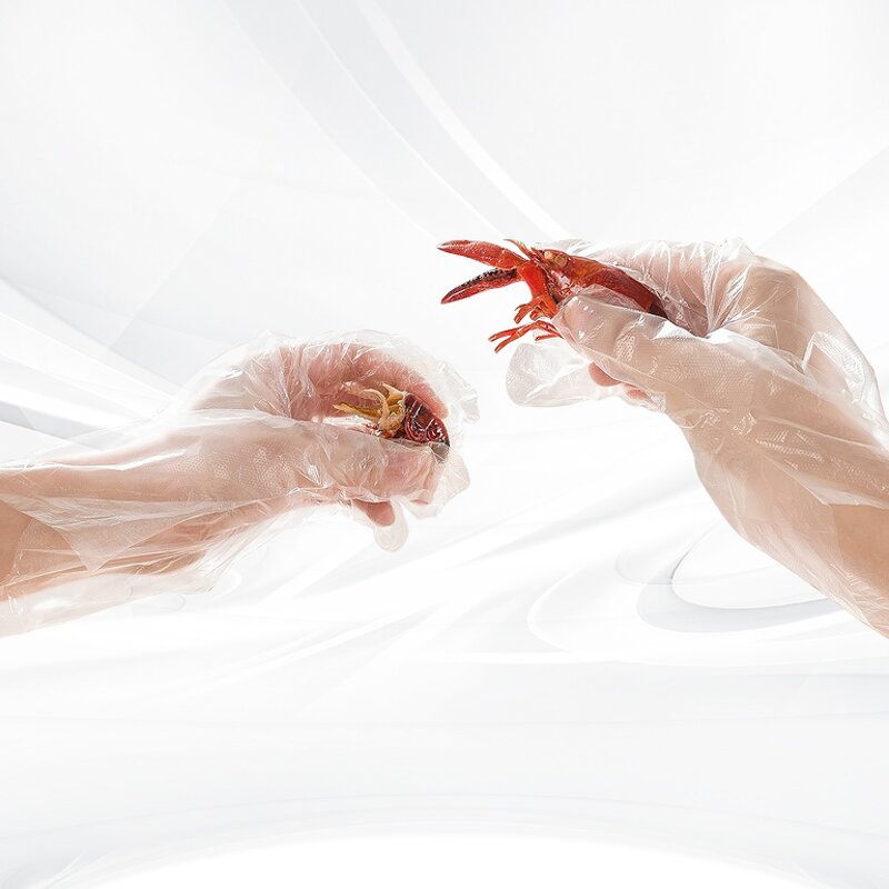 Plastic Gloves Manufacturer - Disposable PE Transparent Ldpe Poly OEM Customized