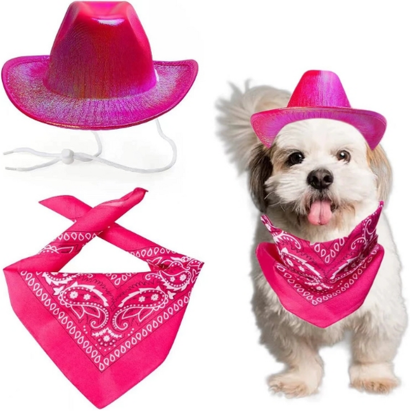 Pet Hat Scarf Set Manufacturer - Iridescent Cowboy Style for Dogs and Cats Traditional Western