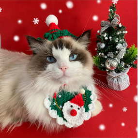Pet Hat Scarf Set Manufacturer - Cute Winter Knitted for Cat Dog Christmas Premium Apparel