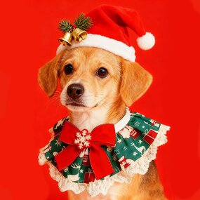 Pet Saliva Towel Manufacturer - Christmas New Style Dog Bib Cat Triangle Decoration Accessories