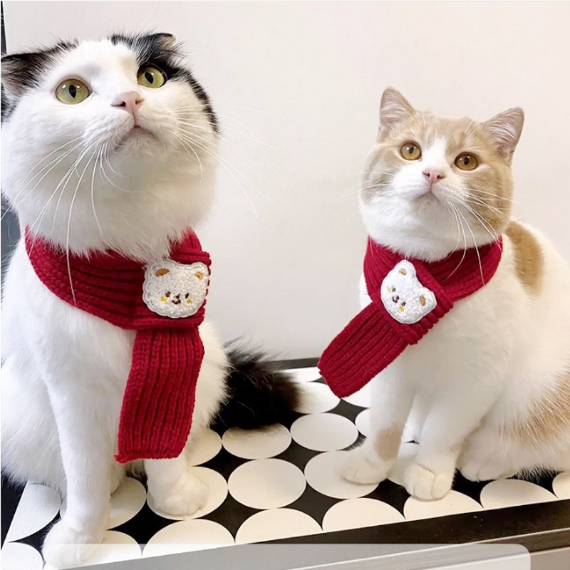 Pet Costume Scarf Manufacturer - Cartoon Panda Cat Knitted Yarn Supplies Apparel Accessory