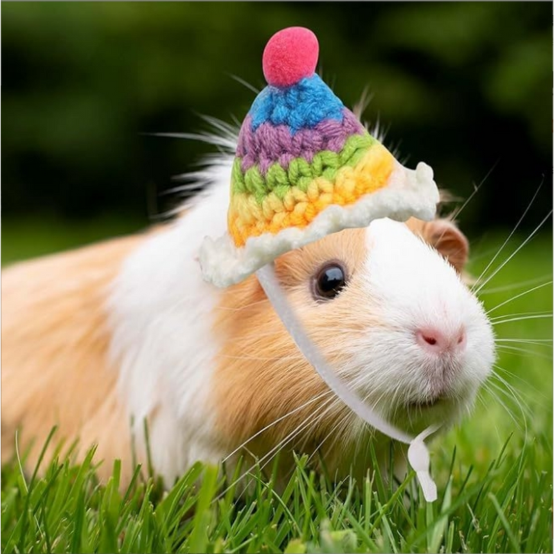 Pet Hat Manufacturer - Handmade Winter Small Frog Rabbit Carrot Pagoda Knitted for Hamsters