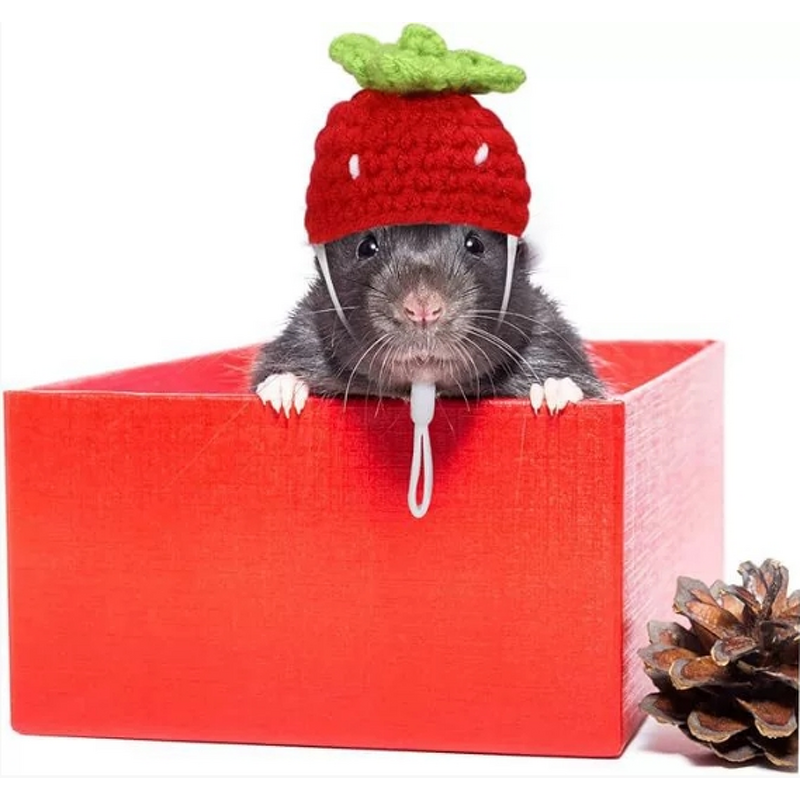 Pet Hat Manufacturer - Handmade Winter Small Frog Rabbit Carrot Pagoda Knitted for Hamsters