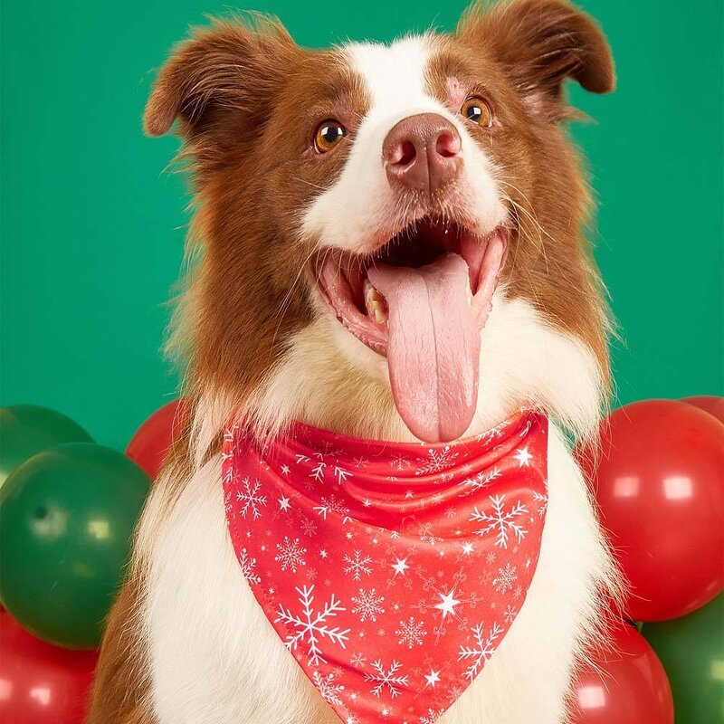 PET Scarf Bib Manufacturer - Christmas Triangle Polyester Cat Dog Drool Headgear Apparel