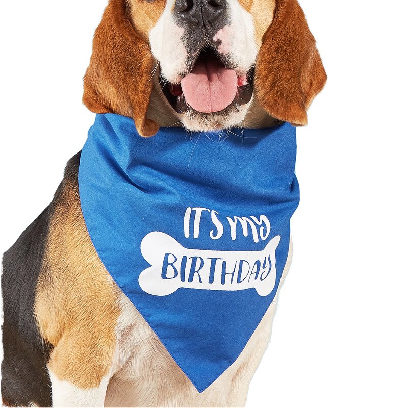 Pet Bandana Manufacturer - Tanpopo Luxury Personalized Custom Dog Cat Polyester Printed Birthday