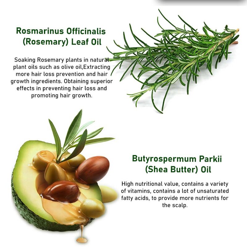 Hair Growth Oil Factory - Own Brand Organic Rosemary Tea Tree Keratin