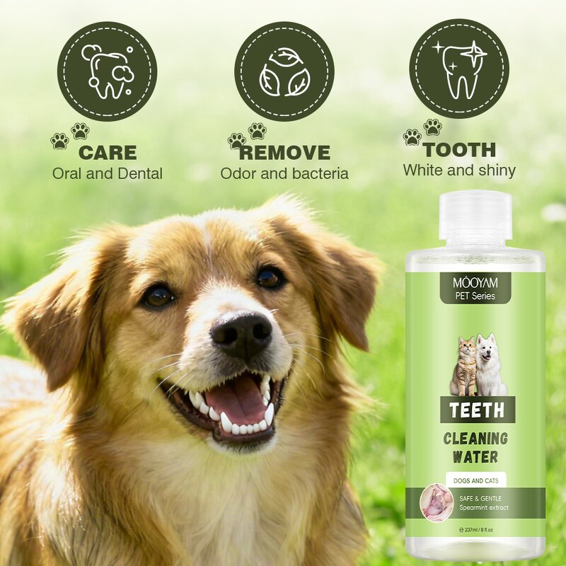 Pet Teeth Cleaning Water Manufacturer - OEM 237ml Plaque Prevention