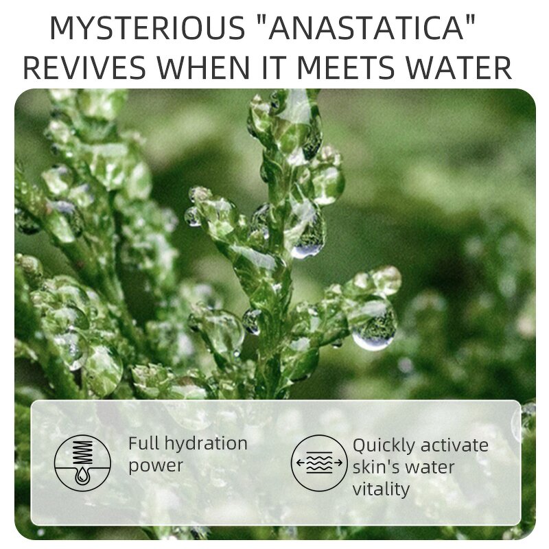 Watermelon Sleeping Mask Manufacturer - Hot Sale Hydrating Brightening Glow Overnight