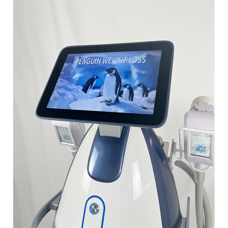 Cryolipolysis Slimming Machine Factory - 6 Handles Lipo RF 360 Cool Cyrotherapy Fat Freeze