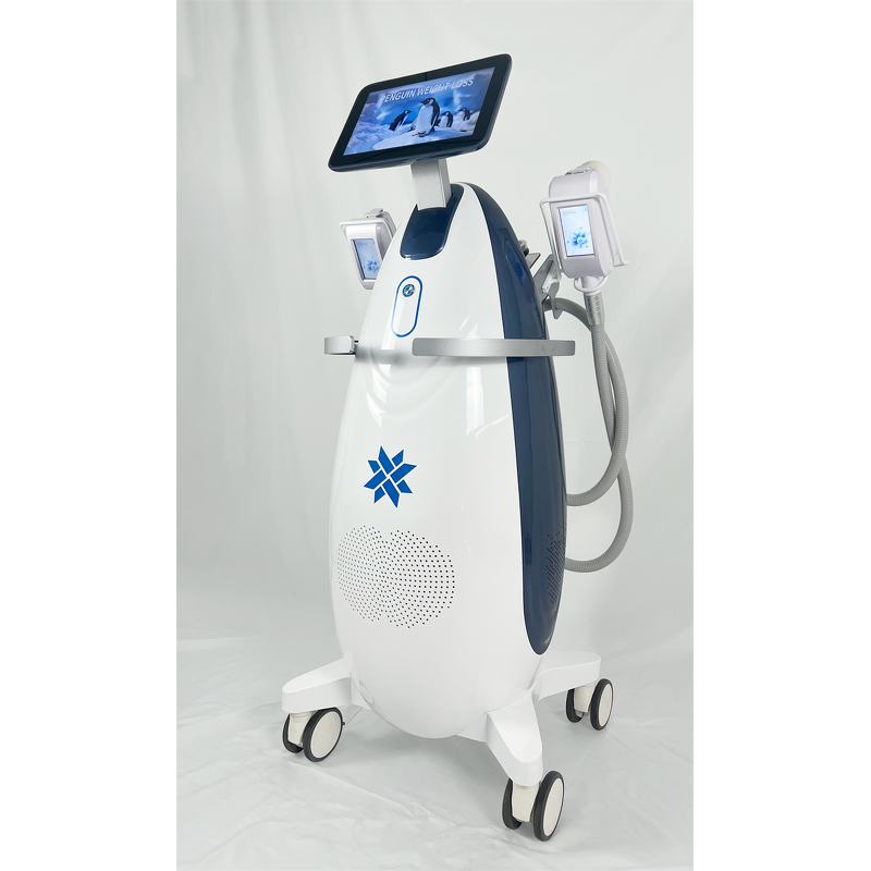 Cryolipolysis Slimming Machine Factory - 6 Handles Lipo RF 360 Cool Cyrotherapy Fat Freeze