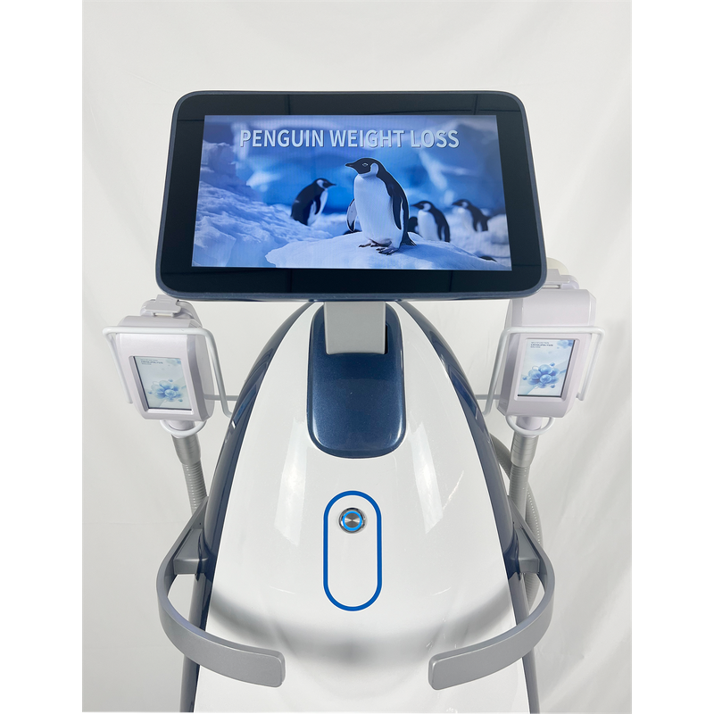 Double Wave Diode Laser Machine Manufacturer - 980nm 1470nm Endolaser Face Lift Doctor Only