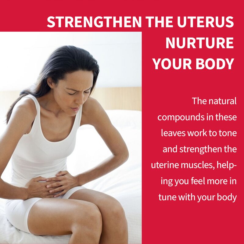 Red Raspberry Leaf Tea Factory - Female Beauty Care Herbal