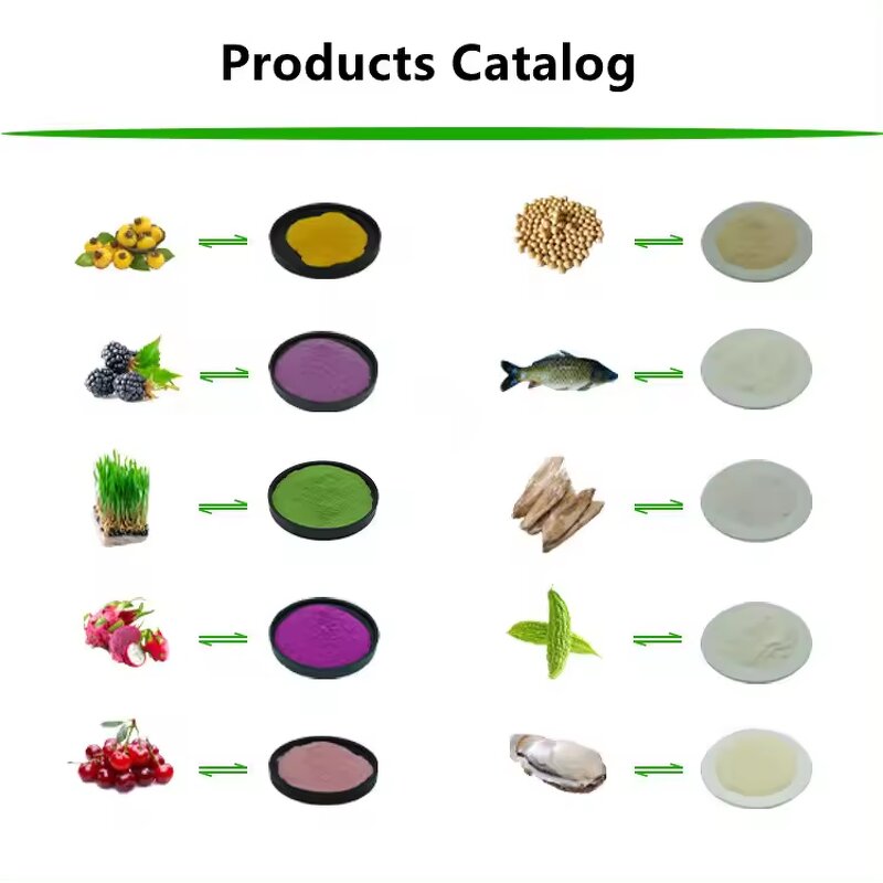 Barley Grass Powder Factory - Private Label Health Care Green