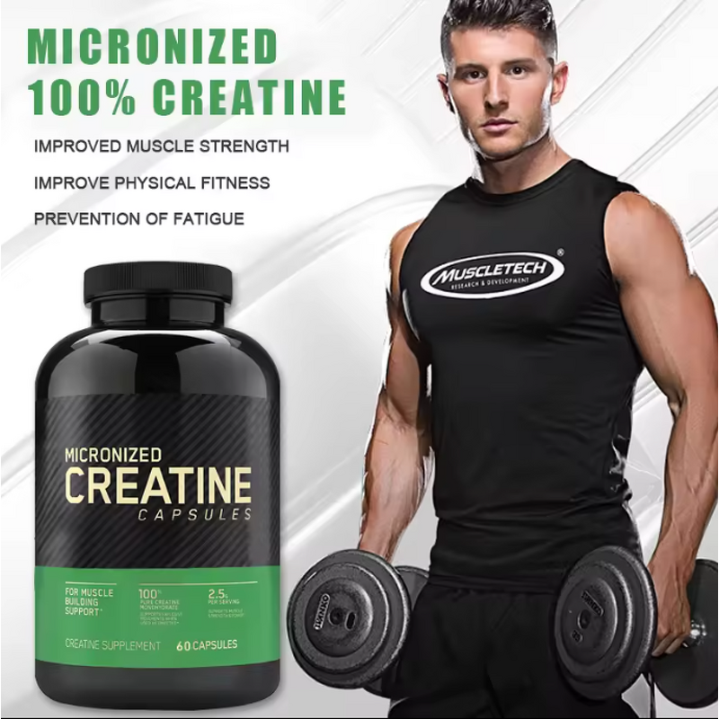 Creatine Capsules Factory - High Quality Monohydrate for Work Out Muscle Building