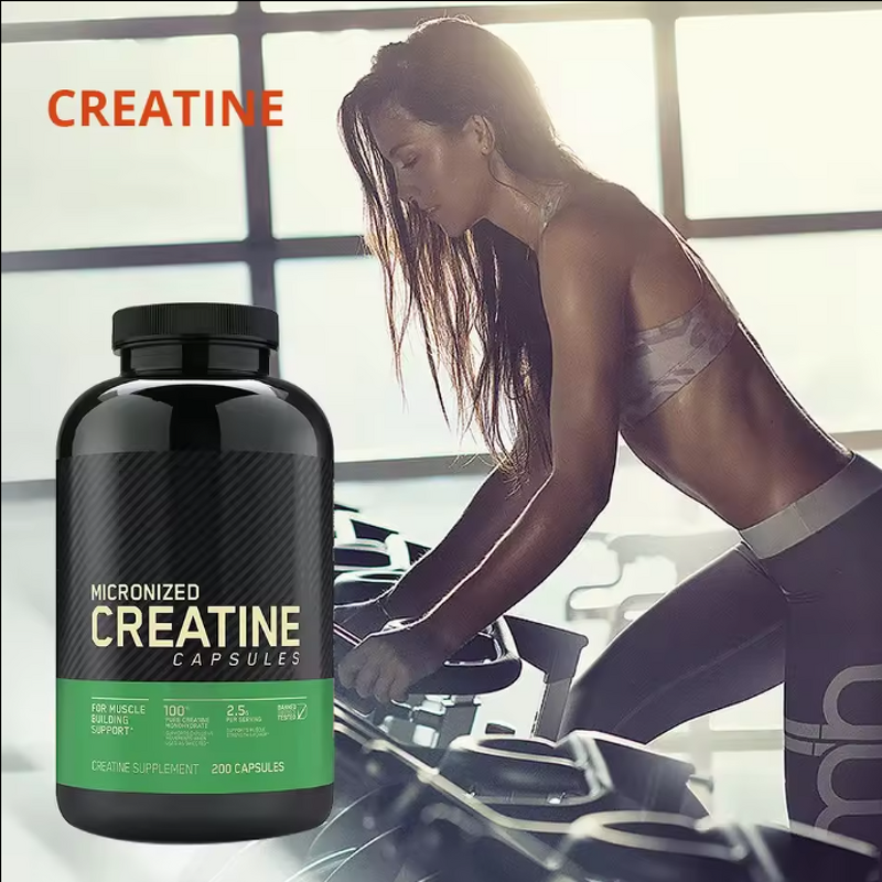 Creatine Capsules Factory - High Quality Monohydrate for Work Out Muscle Building