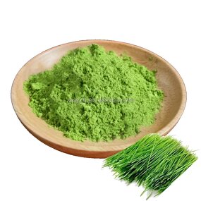 Barley Grass Powder Manufacturer - Factory Supply Instant Dissolve