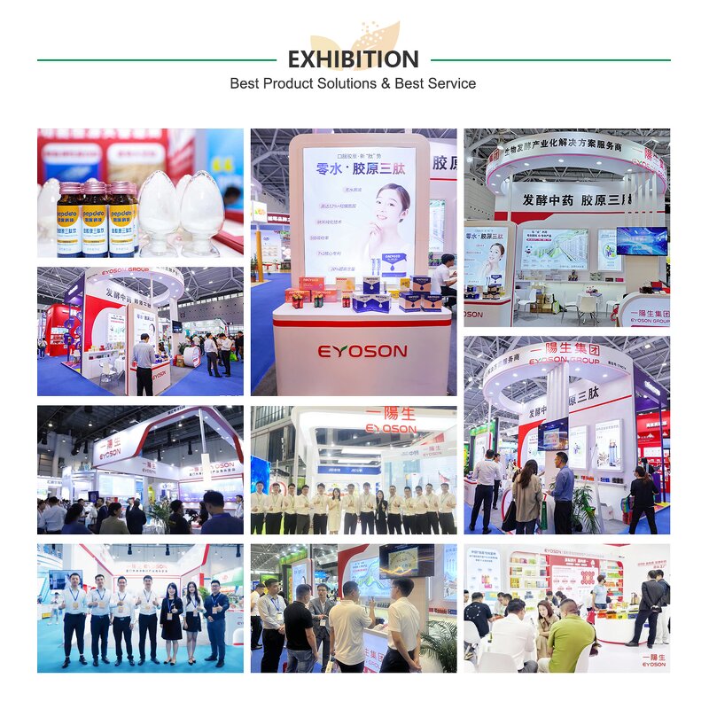 Ube Powder Manufacturer - Food Grade Pure Organic Purple