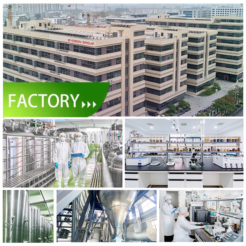 Probiotics Powder Factory - Factory Bulk Lactobacillus Plantarum