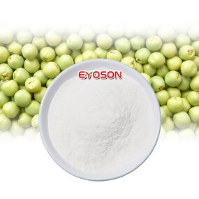 Pea Protein Peptide Manufacturer - GMP Health Supplement Factory