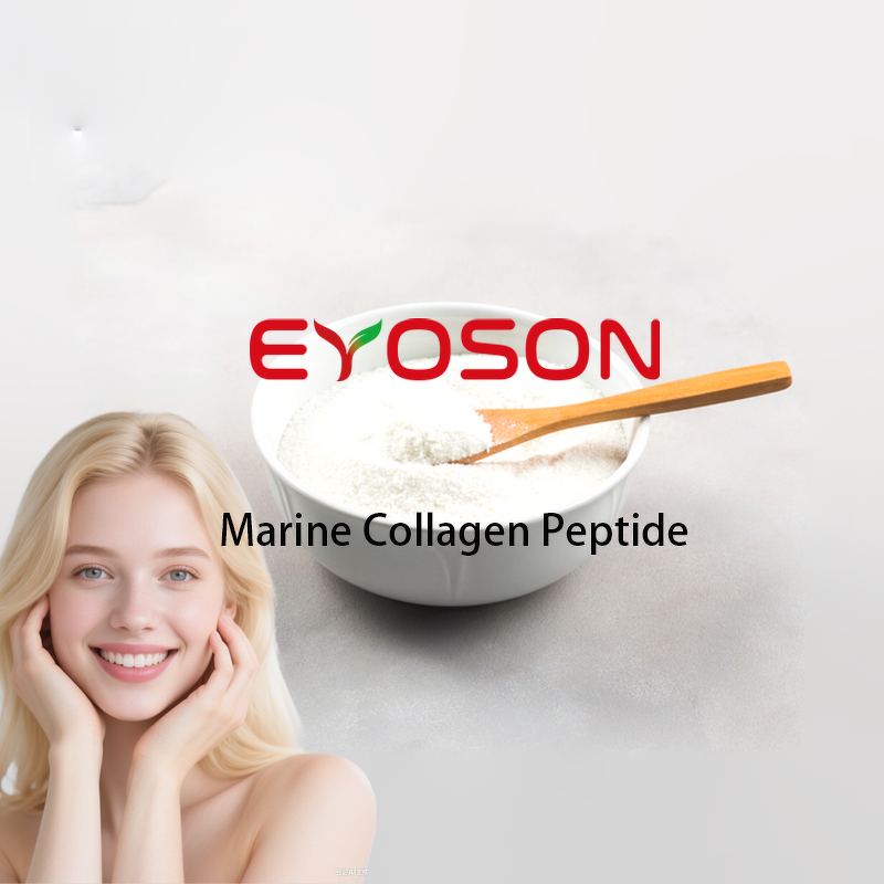 Marine Collagen Peptide Manufacturer - Wholesale Bulk HPLC Whitening