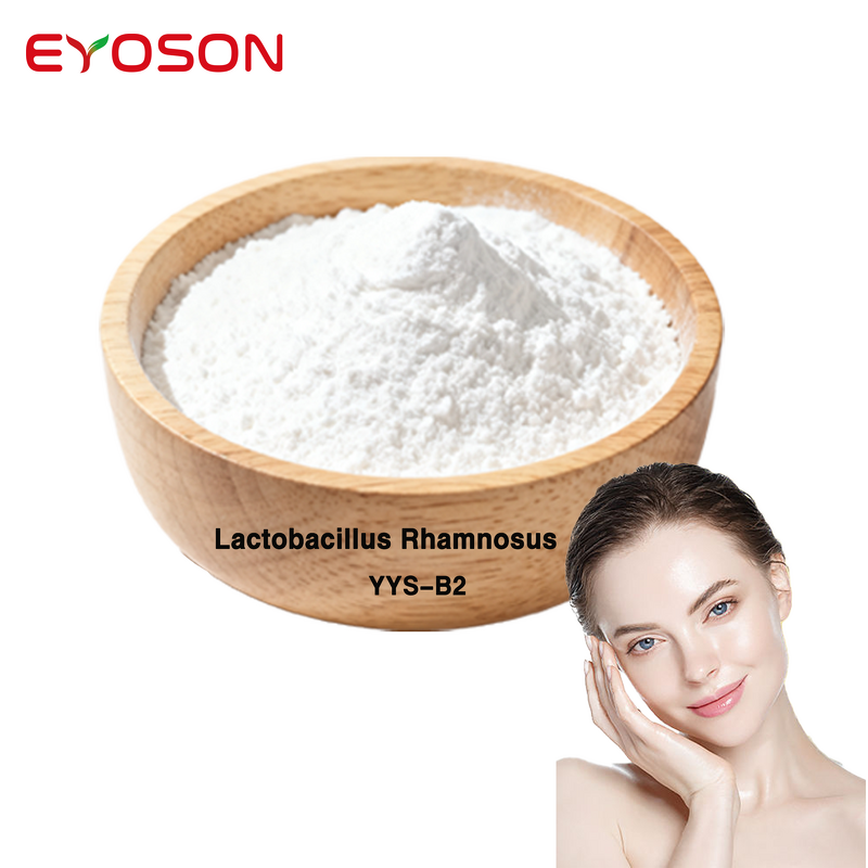 Probiotics Powder Manufacturer - OEM 50 Billion Lactobacillus Rhamnosus