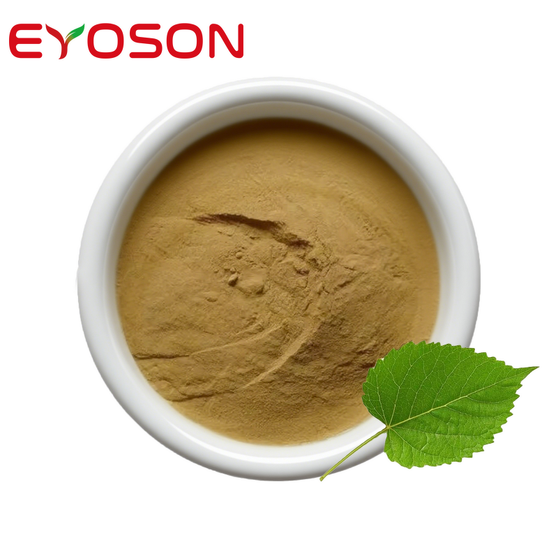 Mulberry Leaf Extract Manufacturer - OEM Wholesale 10:1 Food Grade