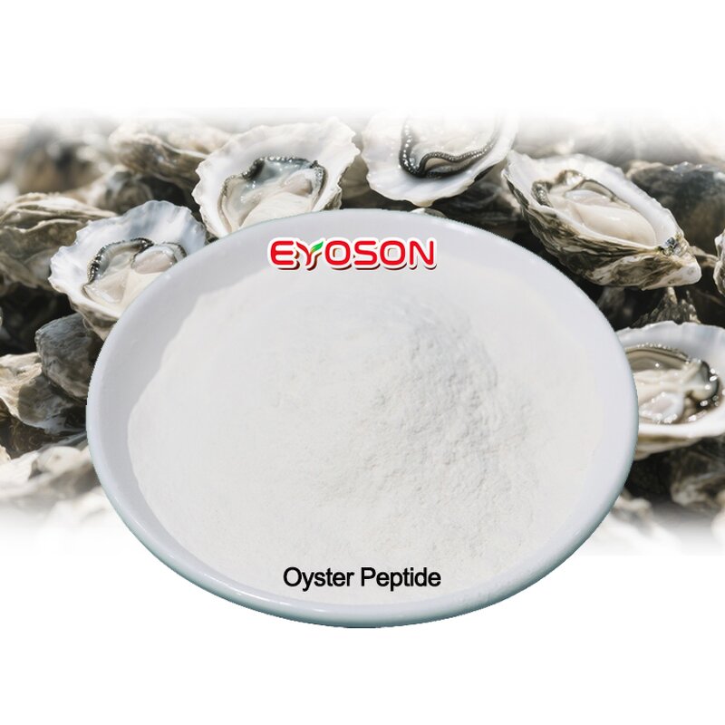 Oyster Peptide Powder Factory - 15year Manufacturer Hydrolyzed Protein