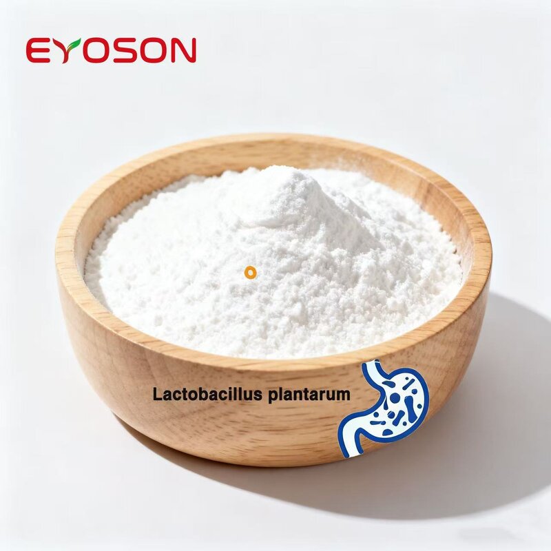 Probiotics Enzyme Powder Factory - Factory Supply Lactobacillus Acidophilus