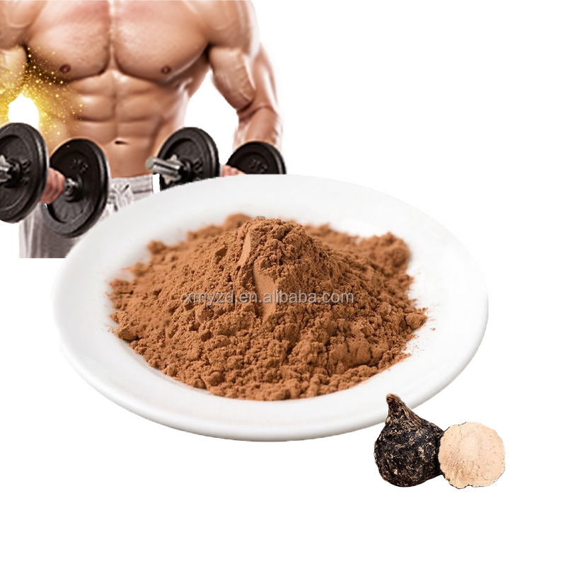 Black Maca Powder Manufacturer - Natural Root Extract Energy