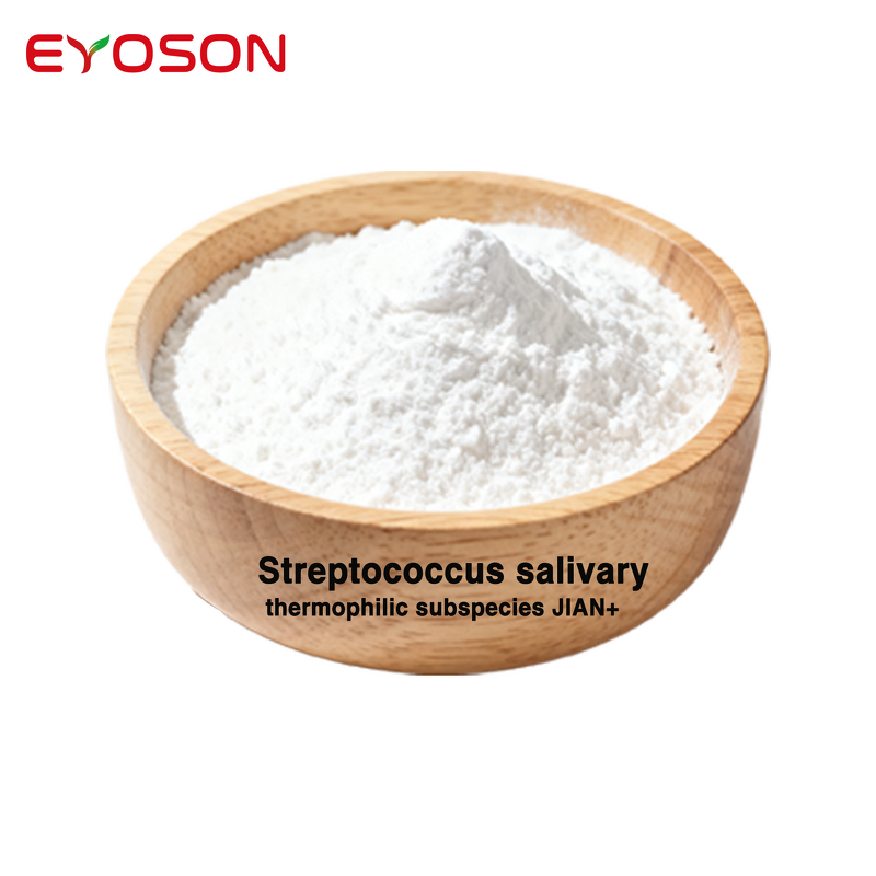 Probiotics Powder Manufacturer - High Potency Streptococcus Salivarius