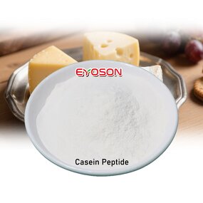 Casein Peptide Powder Manufacturer - Premium Sleep-Support 90% Protein