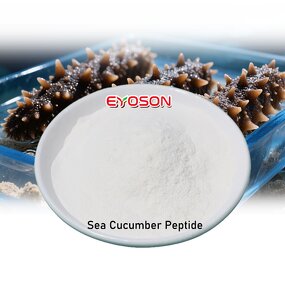 Sea Cucumber Hydrolysate Factory - Wholesale Marine Repair Peptide