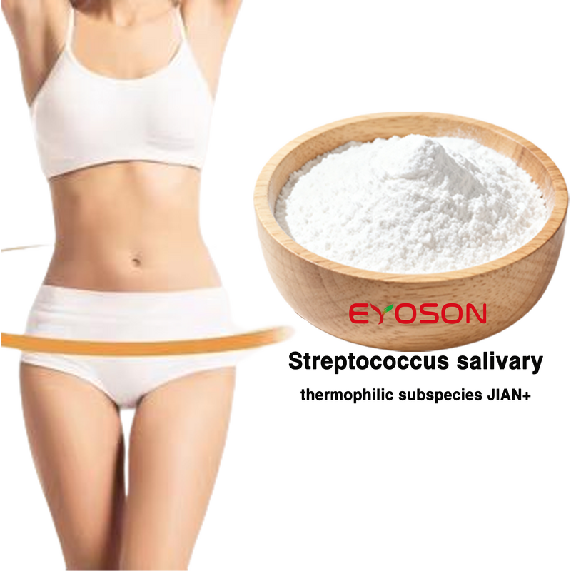 Probiotics Powder Manufacturer - High Potency Streptococcus Salivarius