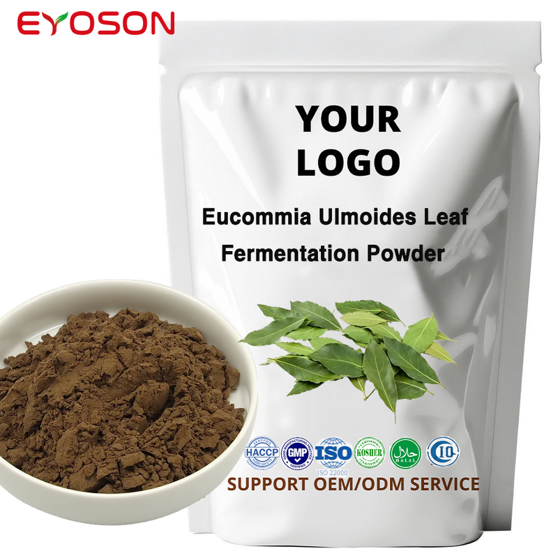 Eucommia Leaf Extract Manufacturer - Factory Supply Food Grade