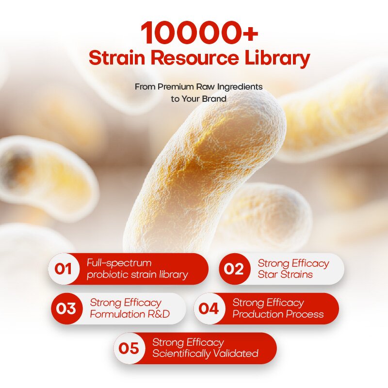 Bifidobacterium Powder Factory - Food Grade Customizable 500 Billion