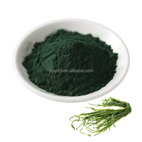 Spirulina Extract Manufacturer - Wholesale Organic Nutritional Protein