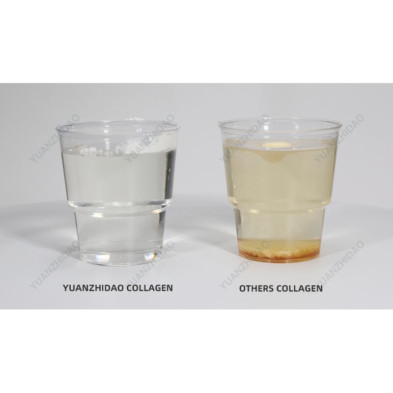 Hydrolyzed Protein Powder Factory - Hot-Selling OEM Source 95% Purity