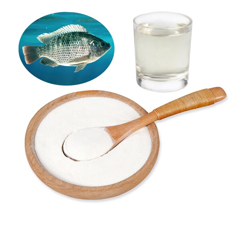 Collagen Tripeptide Powder Manufacturer - Halal 300 500 Dalton Hydrolysed