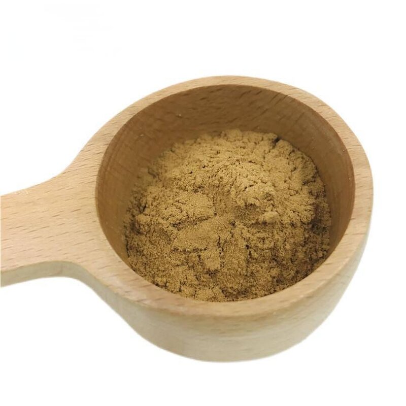 Amla Powder Factory - Wholesale Organic Phyllanthus Emblica