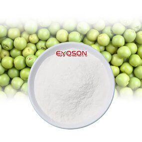 Whitening Peptide Manufacturer - Plant Based Protein Hydrolyzed