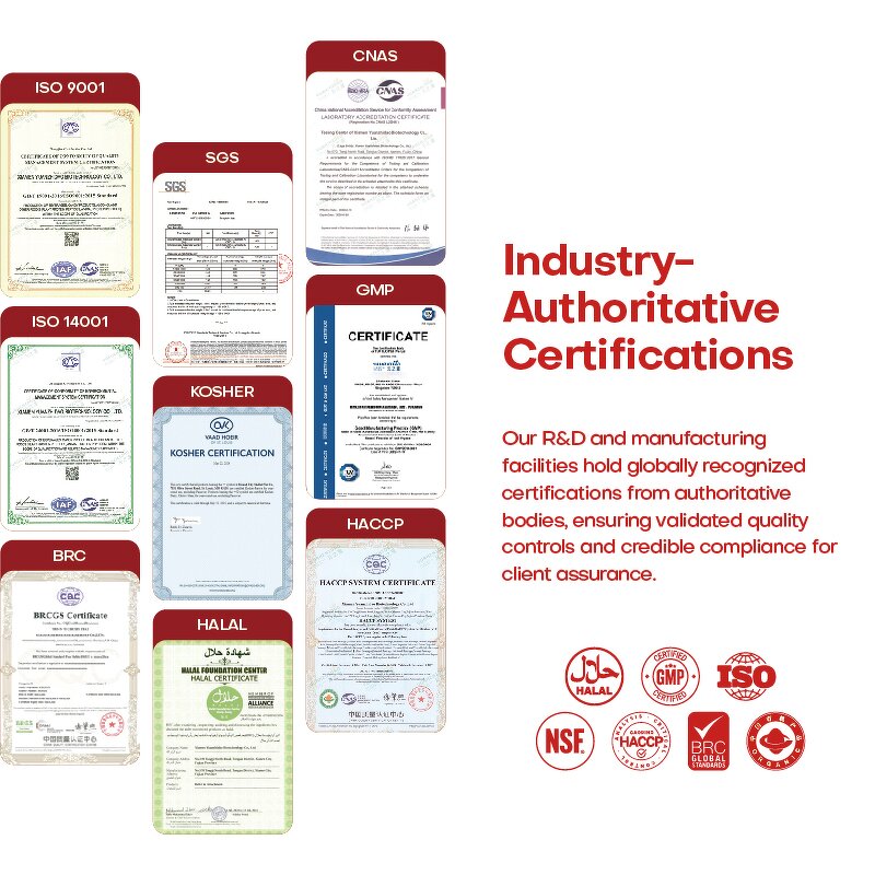 Probiotics Powder Factory - Hot Selling Bulk Multi-Compound