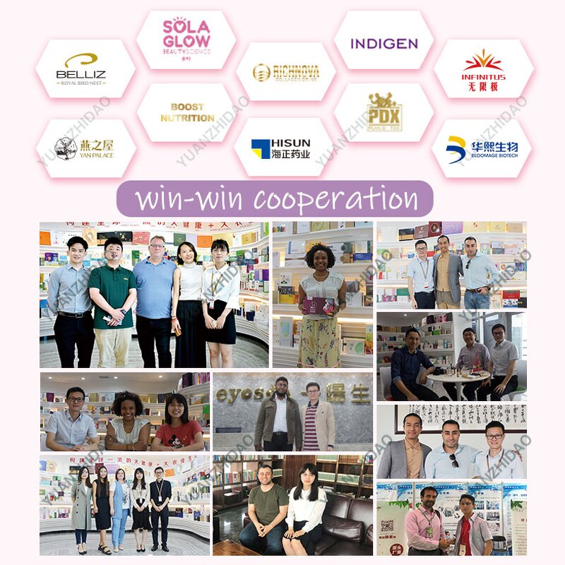 Japanese Matcha Powder Manufacturer - Wholesale 100% Pure Organic