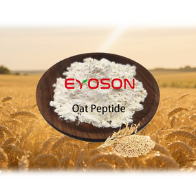 Oat Peptide Powder Manufacturer - Factory Price Oat Extract Protein