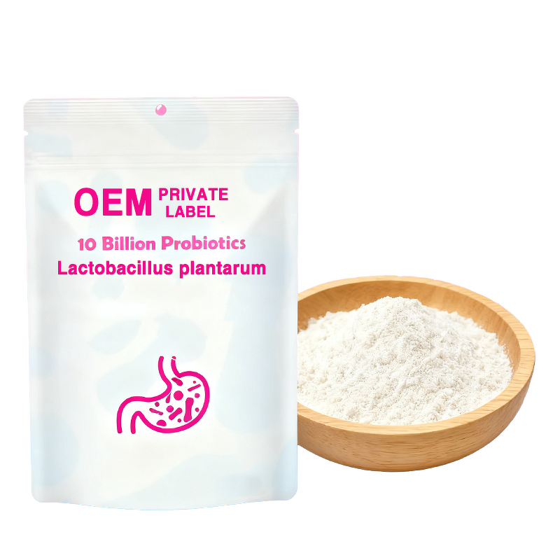 Probiotics Enzyme Powder Factory - Factory Supply Lactobacillus Acidophilus