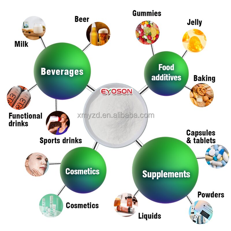 Vegan Protein Powder Factory - Sport Supplements Halal Certified