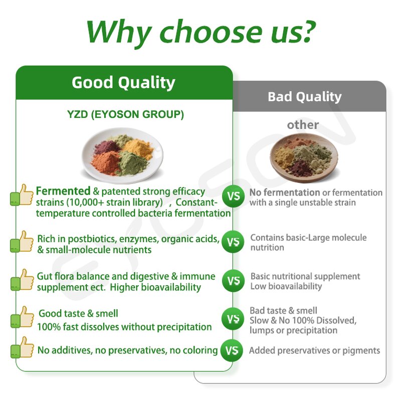 Ube Powder Manufacturer - Food Grade Pure Organic Purple