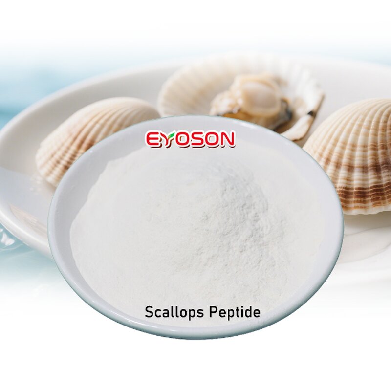 Scallop Peptide Powder Factory - B2B 600Da Kosher Anti-UV